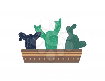 Plants of one type vector, cactus with thorns growing in pot flat style. Botanical flora and foliage,Mexican kind of flowers, decorative elements for home