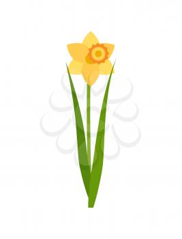 Flower of yellow color vector, isolated icon of daffodil. Floral decoration, greeting for holidays, blossom with foliage, green leaves and frondage