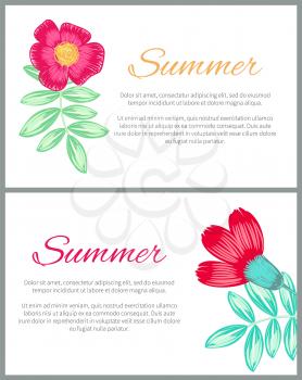 Summer theme colorful posters with beautiful plants on white background. Vector illustration with pencil drawn red and pink flowers and green leaves