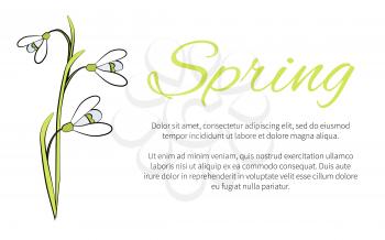 Spring floral banner with text, made of blooming snowdrops vector illustration in green and yellow colors with written sample poster
