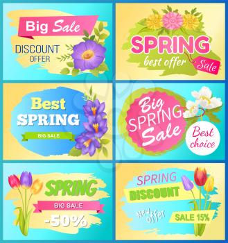 Seasonal offer spring big sale advertisement daisy flowers, bouquet of tulips and fresh anemone vector illustration promo sticker, springtime blossoms