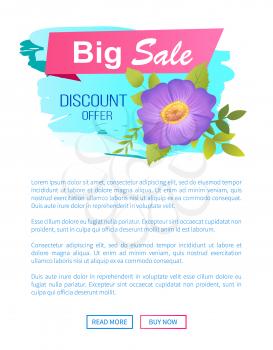 Big sale discount offer promo poster with pasque purple flower vector illustration isolated on white. Spring blossom of crocus plant on webage label