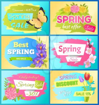Collection of spring big sale advertising labels daisy flowers and anemone blossoms vector illustration color emblems promo stickers springtime buds