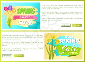 Best discount 50 off advertisement sticker bouquet with tulips and daffodil narcissus bulbous on web page with push buttons read and buy vector spring collection sale