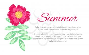 Summer theme colorful poster decorated with plant on white background. Vector illustration with drawn in pink blooming flower and green branch with foliage