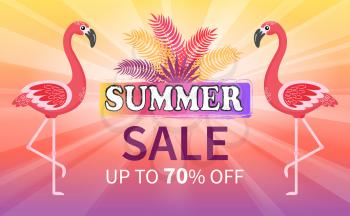 Special offer on summer vacation, sale up to 70 percents vector. Pink flamingo and sunshine, palm tree branches and leaves. Birds with colored feathers