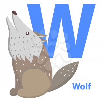Blue letter W, sitting and howling wolf abc cards. Vector illustration isolated on white background. English language learning with funny cartoon animals. Colorful typography graphic art design.