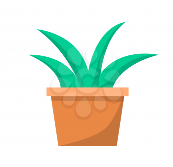 Green aloe plant in clay pot vector illustration icon isolated on white background. Traditional element for decoration of window sills in classrooms