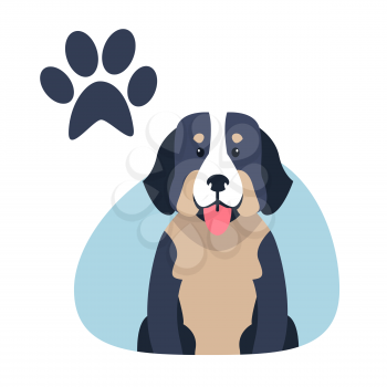 Heavy bernese mountain dog flat design on white background. Vector illustration of swiss highland and shepherd dogs. Blue paw print in upper corner of drawing image. Big hound shows pink tongue