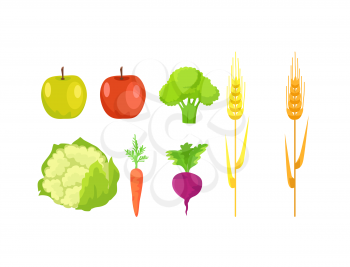 Green and red apple, organic broccoli, healthy cauliflower, orange carrot, beet or radish and ear of wheat isolated on white background. Healthy vegetables on farm concept, food for game apps