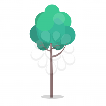 Green tree with long stem isolated on white closeup vector illustration in flat design. Long-lived plant with many leaves on branches