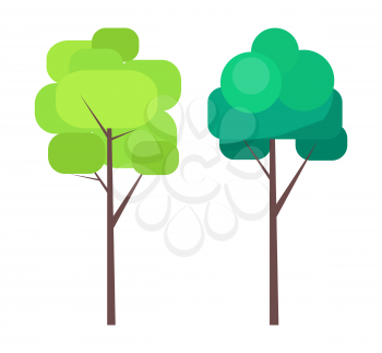 Abstract trees in green colors on thin trunks vector illustration in cartoon style isolated on white. Nature plants for your design