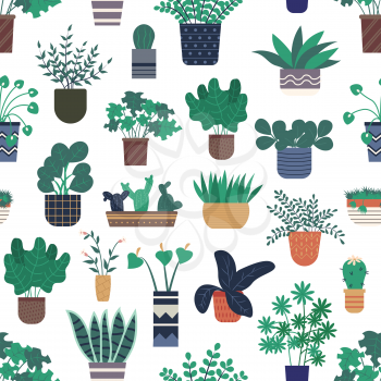 Houseplants growing in pots vector, seamless pattern of flora and foliage decorating homes. Calla flowering in vase, floral bouquet and cactus in flowerpot