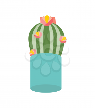 Cactus plant with flowering vector, isolated icon of houseplant in pot, growing flora. Thorns of cacti with flowers and orange blossom, natural plant