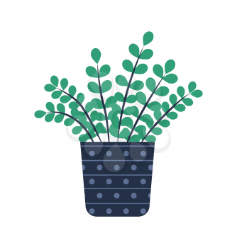 Houseplant in pot vector, container with blue dots, flat style floral decoration for home. Container with soil, plant with foliage and long branches