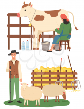 Farmers caring for animals vector, sheep and cow farm flat style. People with cattle, production of milk and organic food and ingredients, countryside