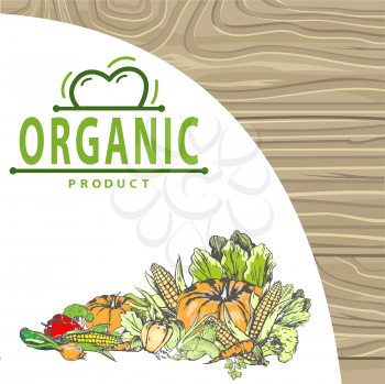 Natural products vector, bio food harvesting banner, corn and pepper, foliage and carrot pumpkin and onion meal fresh harvest organic fruits veggies. Logo for menu of bio products on wood background
