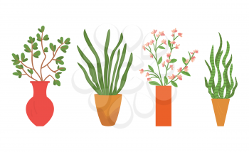 Flowers in vases vector, floral decor for home flat style flourishing on branches, plant with frondage, tender and elegant design, container interior