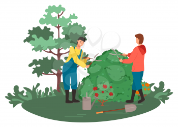 People gardening vector, man and woman with scissors and tools. Instruments in hands of gardeners, trees and nature, bushes of roses hobby of couple