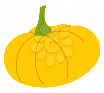 Yellow pumpkin isolated autumn vegetable icon. Vector Halloween party symbol, autumn harvest or crop, grocery store or shop product. Squash or gourd