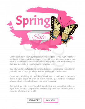 Spring sale label butterfly with ornaments on wings and antenna promo vector illustration of springtime sticker online web poster push button read buy