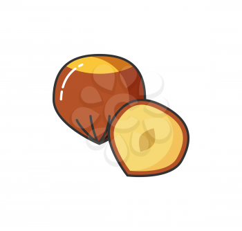 Food icon vector nuts whole and half. Hazel symbol collection nutmeg sign. Vector