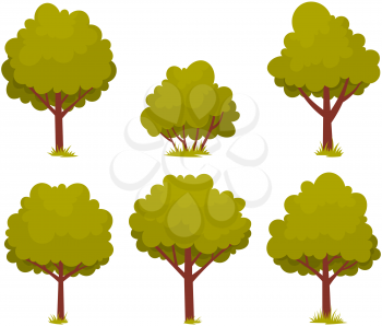 Set of deciduous tree with trunk and dense foliage. High plant with widely spread branches and green leaves. Broad-stemmed deciduous plant. Tree with green foliage isolated on white background