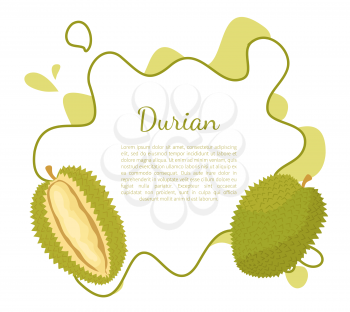 Durian exotic juicy fruit with unusual flavour and odour vector poster frame and text. Tropical edible food, dieting vegetarian icon full of vitamins
