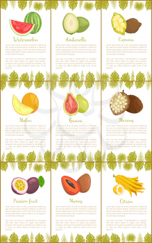 Watermelon and ambarella, cupuacu and melon, guava and marang, passion fruit and mamey, citrus citron vector tropical fruits with text sample and leaves