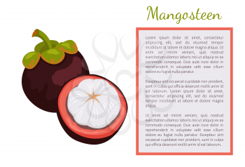 Purple mangosteen exotic juicy fruit whole and cut poster frame for text. Tropical edible food, dieting vegetarian vitamins with endocarp white inside
