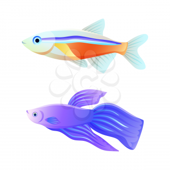 Colorful sea inhabitant rare neon tetra and common betta fish as aquarium animal flat vector illustration for nautical site or fishery journal poster.