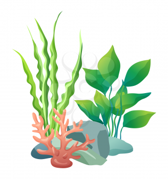 Green vegetation of deep sea. Decorations to put in aquariums. Stones with holes and plants different seaweed set isolated on vector illustration