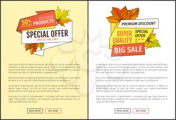 Limited sale super special offer up to 50 percent discount promo posters text sample. Autumn half price advertising emblem, foliage and leaves vector