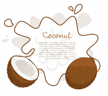 Coconut exotic fruit vector poster frame and place for text. Tropical food, plant in brown shell, dieting milk for cocktails inside, vegetarian coco icon