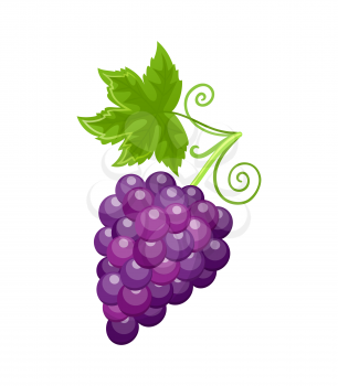 Fresh food ripe grapes of autumn season isolated vector. Healthy meal, fruits berries rich in vitamins, sweet product harvesting at autumnal period