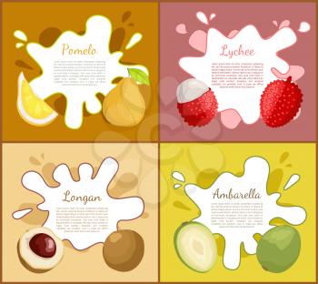 Pomelo and lychee, slice of longan and ambarella tropical product. Exotic fruits set of posters and ripe meal full of vitamins and freshness vector