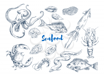 Exotic seafood such as huge octopus, ocean crab, long eel, king shrimp, ink squid, fresh lobster, tasty salmon and mollusks vector illustrations.