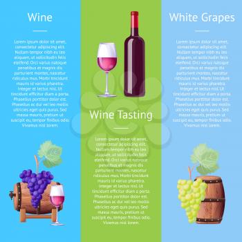 Wine tasting white grapes vector illustration poster design with wooden barrel, bunch of purple grape, wineglass and bottle, ripe fruit and text