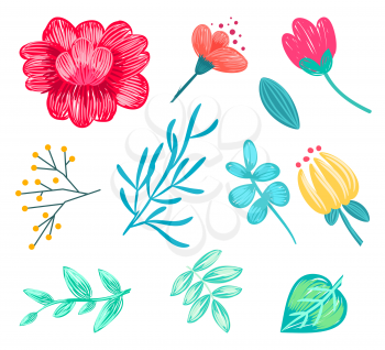 Set of various floral icons, that may be used in decor as decorative elements, patterns on vector illustration isolated, on white background