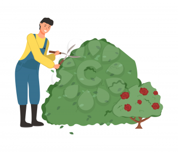 Man working on field vector, person holding scissors and cutting bushes isolated farmer on nature. Flat style gardening tool, farmer with instrument