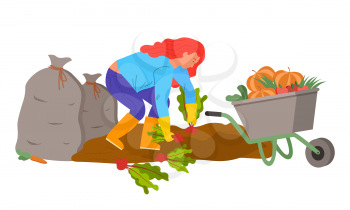 Woman working on field with beetroots vector, farmer harvesting. Bags with harvested and gathered products. Carriage with pumpkins cart with goods. Flat cartoon