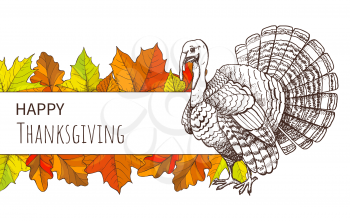 Thanksgiving poster with turkey bird and autumn leaves. Fall American holiday greeting card, traditional animal for festive meal vector illustration.