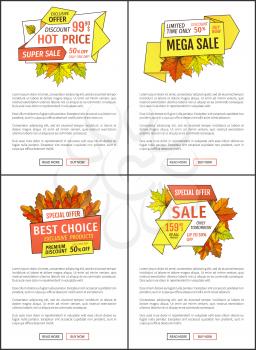 Sale promo posters set with maple leaves, oak foliage autumn symbols on advert leaflets. Exclusive offer only one day on Thanksgiving special prices