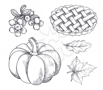 Pumpkin and baked pie, cranberry berry with leaves monochrome sketches outline set vector. Pastry sweet dessert and vegetable symbol of Halloween