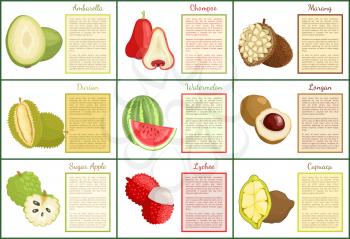 Ambarella chompoo posters set with text sample vector. Tropical exotic fruits sugar apple, lychee and cupuacu, watermelon and marang jackfruit food