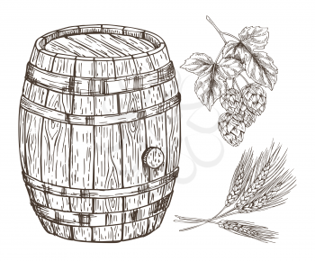 Raw set for beer reproduction with wooden barrel isolated on white backdrop graphic art, vector illustration of hop and wheat branches, oak container