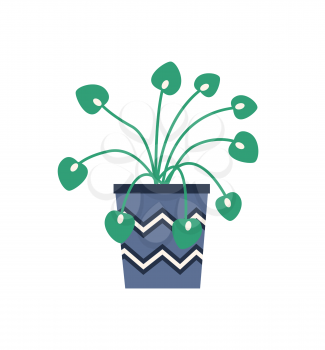 Plant growing in container for flowers vector, isolated houseplant with long stems and foliage. Frondage of botany, flora for home decoration flat style