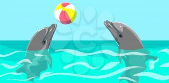 Couple of dolphins is playing in pool together. Dolphins play with ball, do tricks in aquarium. Show on water, performance in oceanarium. Marine mammals playing with ball perform trick with inventory