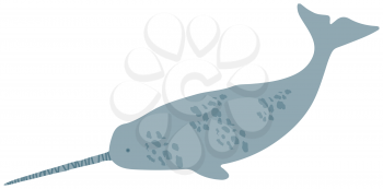 Large predatory marine mammal, whale with long horn. Predatory animal living in ocean. Narwhal whale isolated on white background. Narwhal, unicorn-fish, dangerous ocean mammal vector illustration