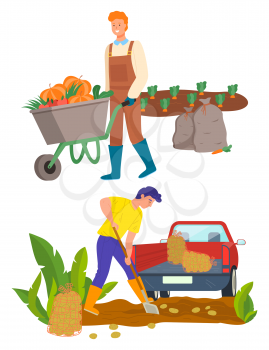 Man with carriage transporting pumpkins vector, male on plantation using shovel. Tractor lorry with potato, agricultural worker on field flat style. Farmer work on farm